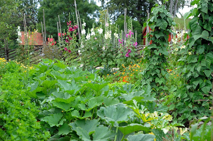 Landlebenfotograf-Landgartenfotografie