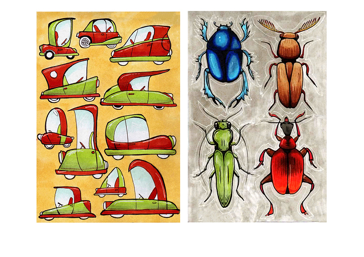 print portfolio 0014 border cars beetles