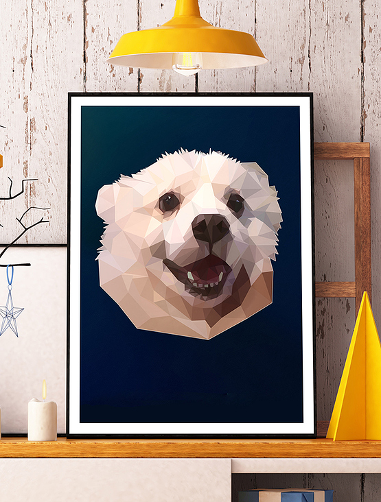 Samoyed portrait