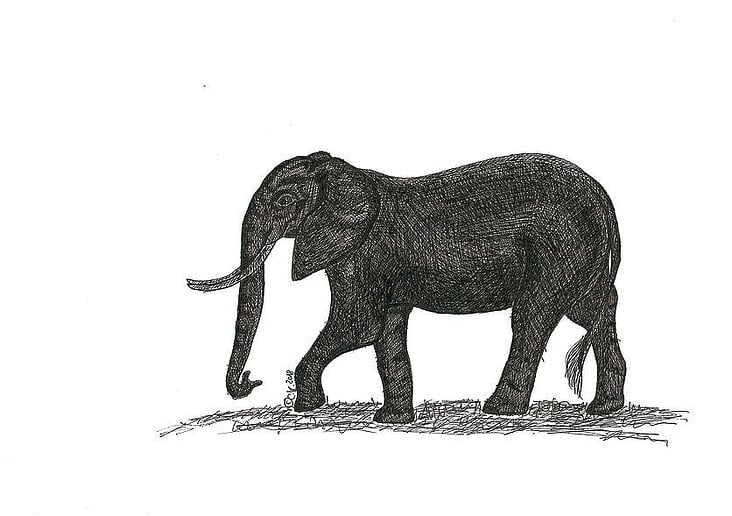 „Elefant“