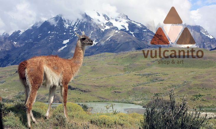 vulcanito Logodesign und Corporate Design