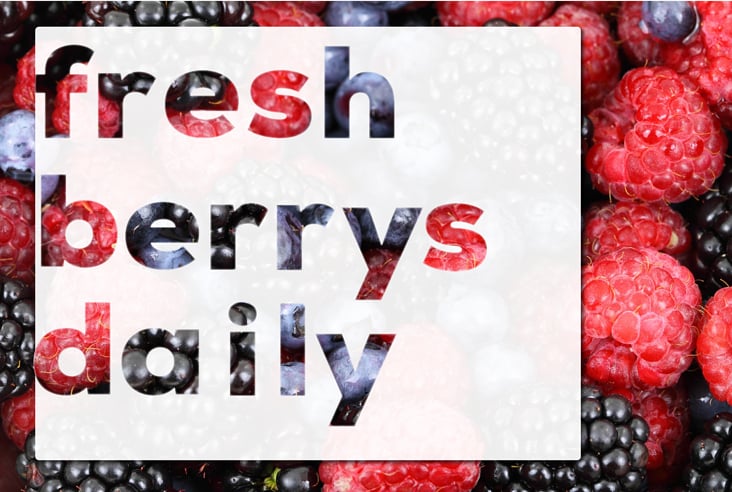 freshberrys