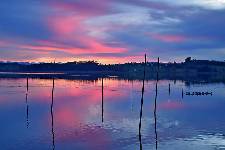 Abendstimmung am Pfäffikersee