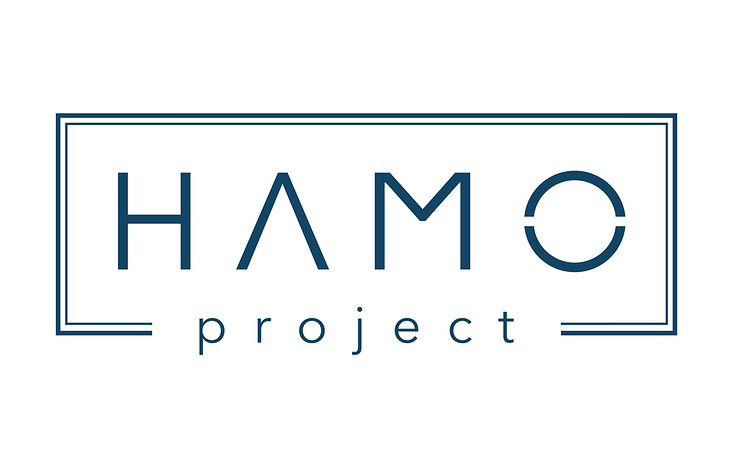 HAMO Ladenbau – Logogestaltung