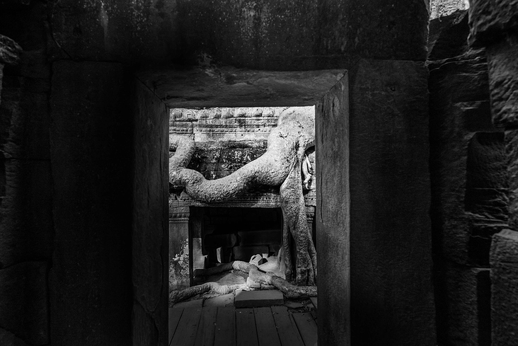 Angkor Ta Prohm