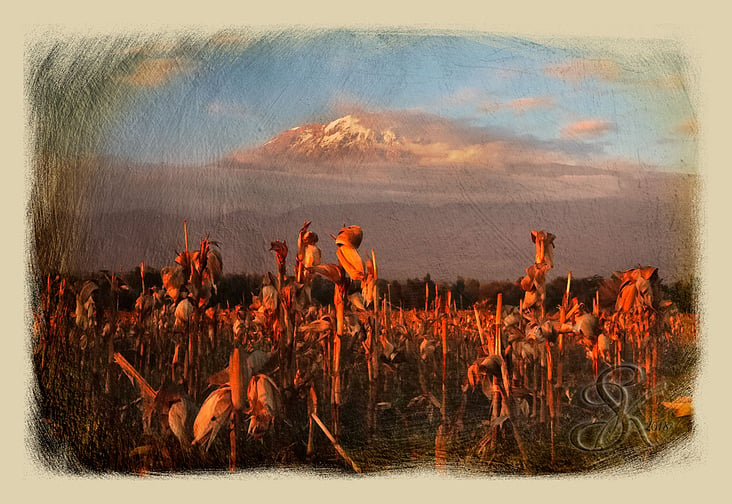 When the night comes at Mt. Kilimanjaro (Moshi, Tanzania 2018)