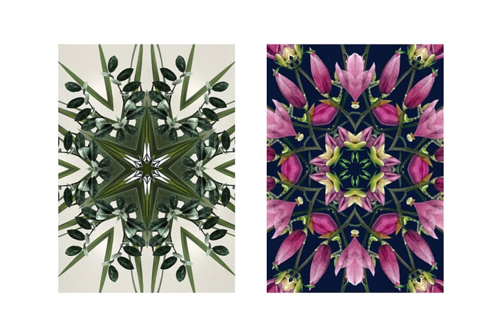„Flowers on Speed“ 9, digital collage
