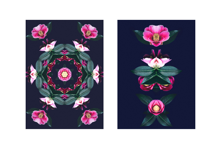 „Flowers on Speed“ 8, digital collage