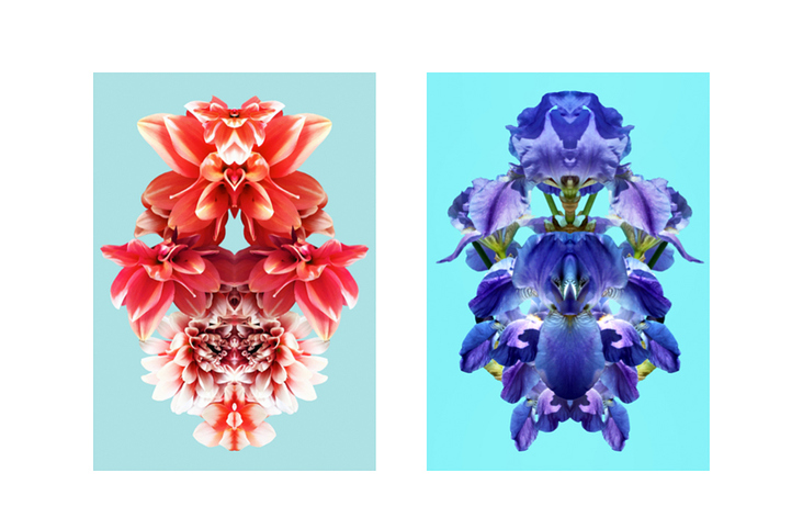 „Flowers on Speed“ 6, digital collage