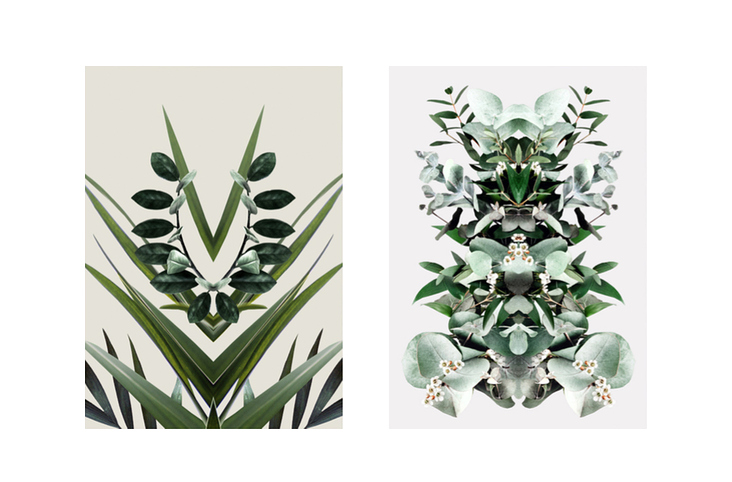 „Flowers on Speed“ 5, digital collage