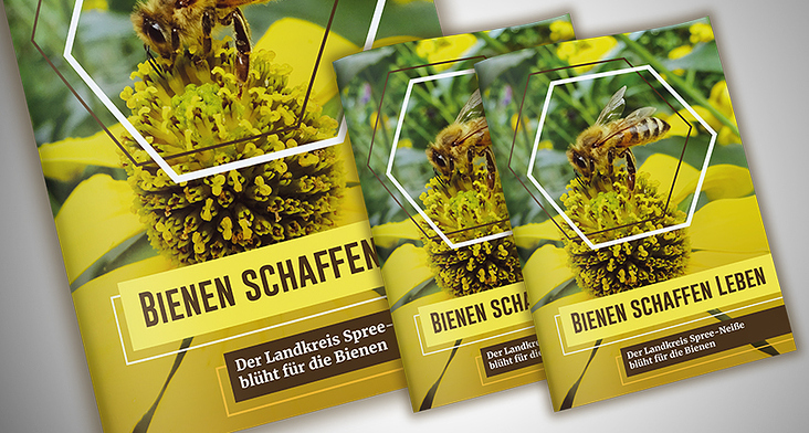 Fotos & Layout – Bienen Broschüre Spree-Neiße #carographic