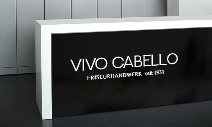 Logo Design – Vivo Cabello by #carographic