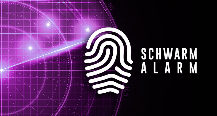Logo Design – Schwarm Alarm by #carographic