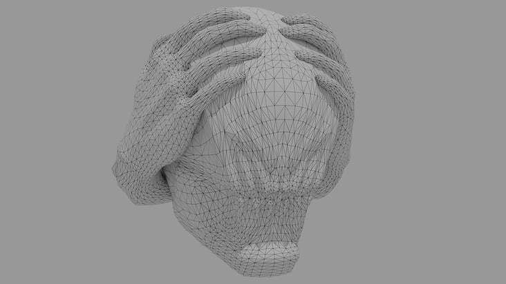 Helmet Design MAW Wireframe