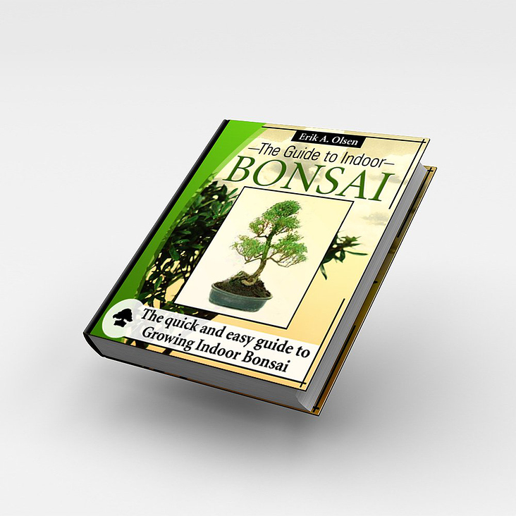 bonsai