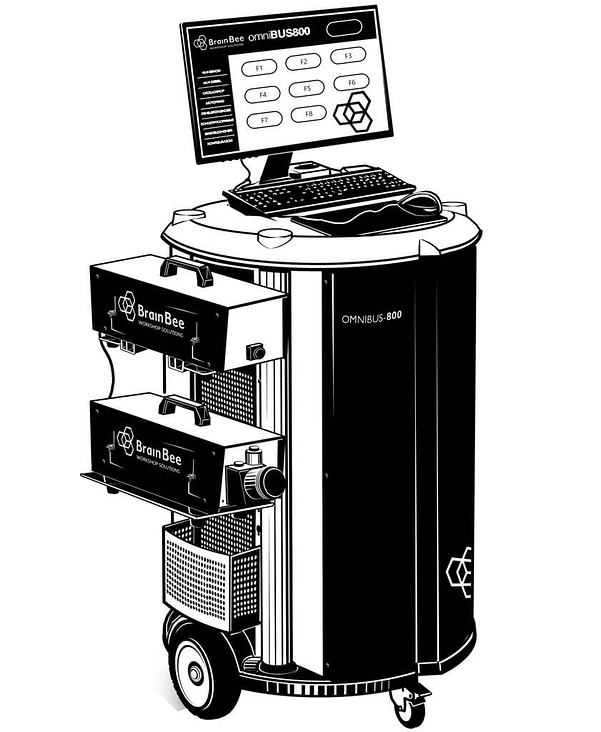 Vektorgrafik Brain Bee Omnibus 800