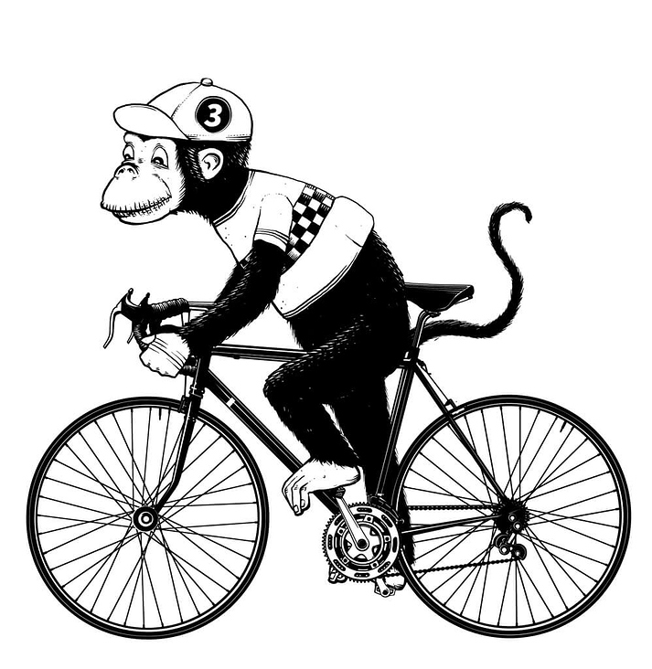 No Monkey Business – Monkey Racer
