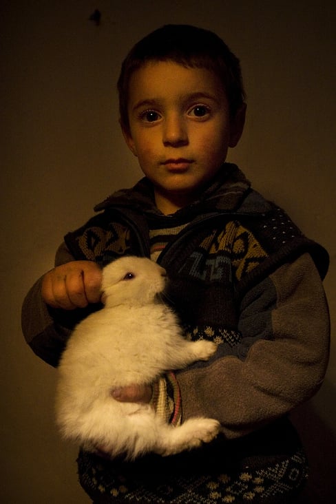Portrait of Artur with his rabbit