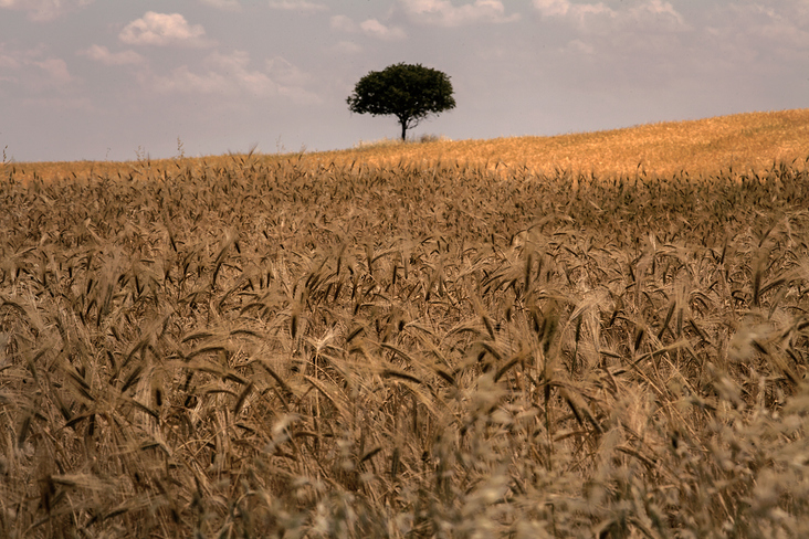 Landscape, near the border, Nagorno Karabakh