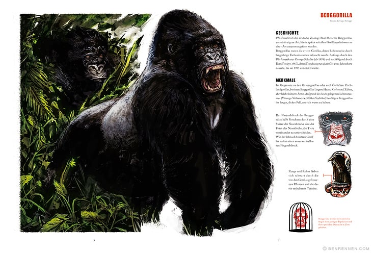 Gorilla (Sachbuch) Beispielseite