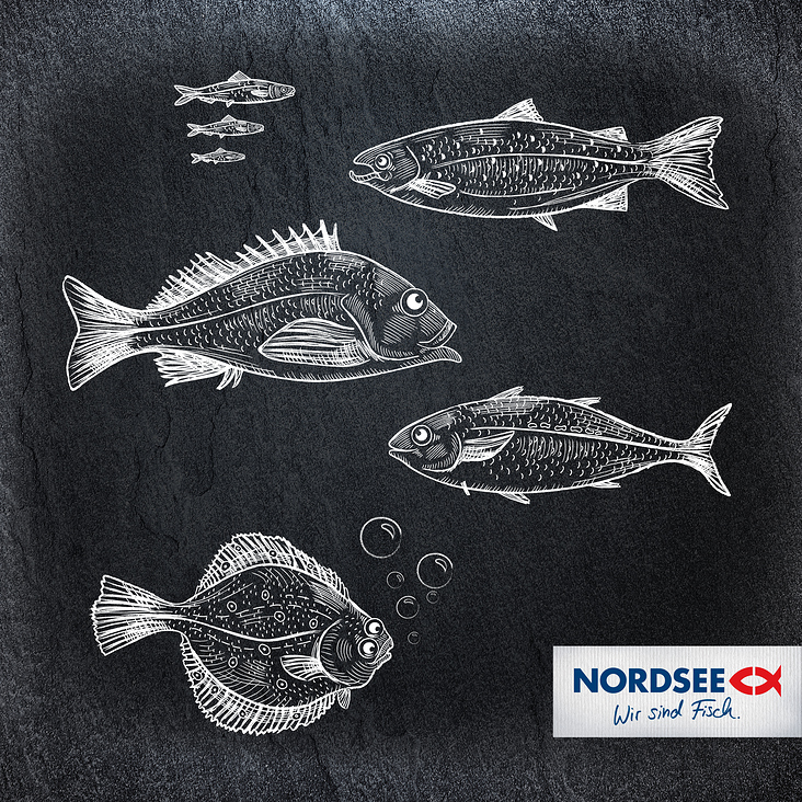 Vektorbasierte Fisch-Illustrationen für eine Personalkampagne