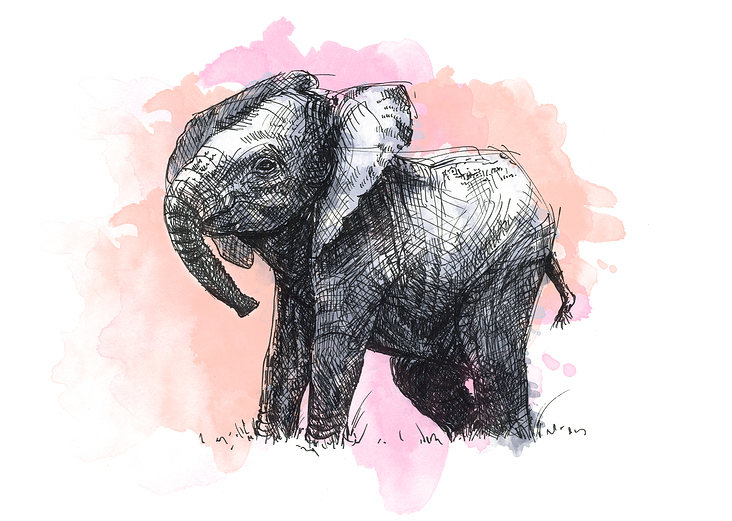 Elephant ink