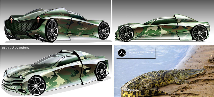 AMG GATOR  Front & Side view