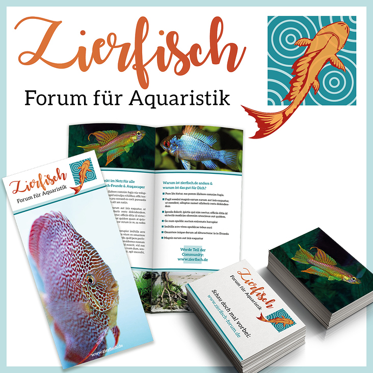 Zierfisch – Forum für Aquarianer