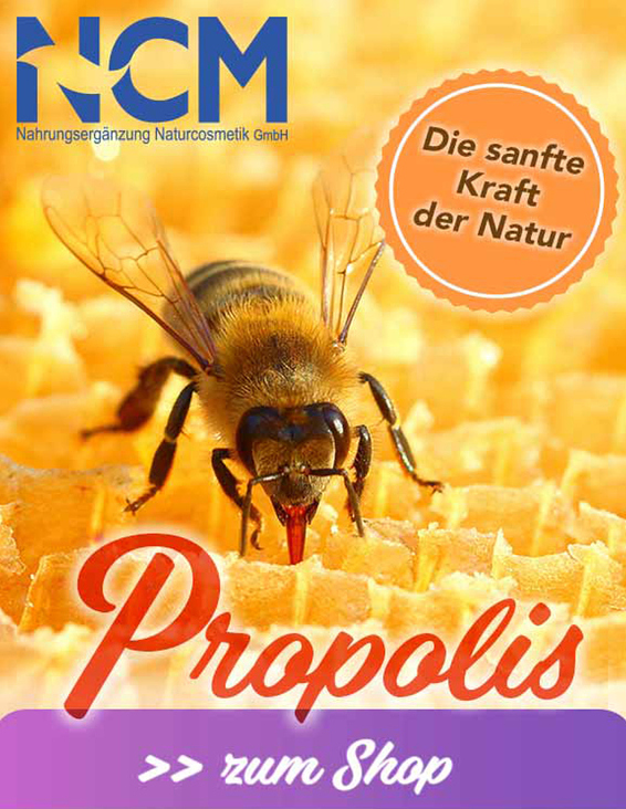 Titel Newsletter