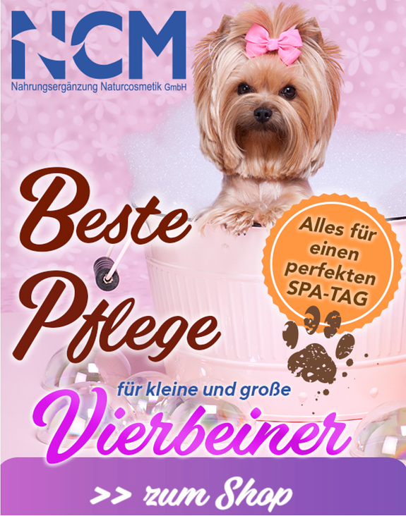 Titel Newsletter