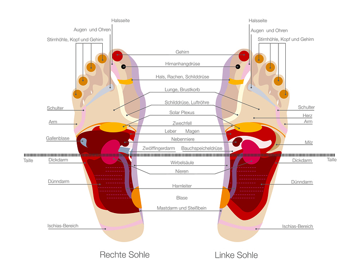 Fussreflexzonen erläutert