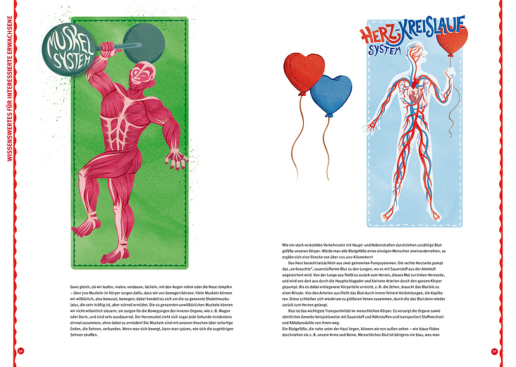 Illustrationen Broschüre „Körper“/Layout: Eileen Frühauf_Stiftung Haus der kleinen Forscher