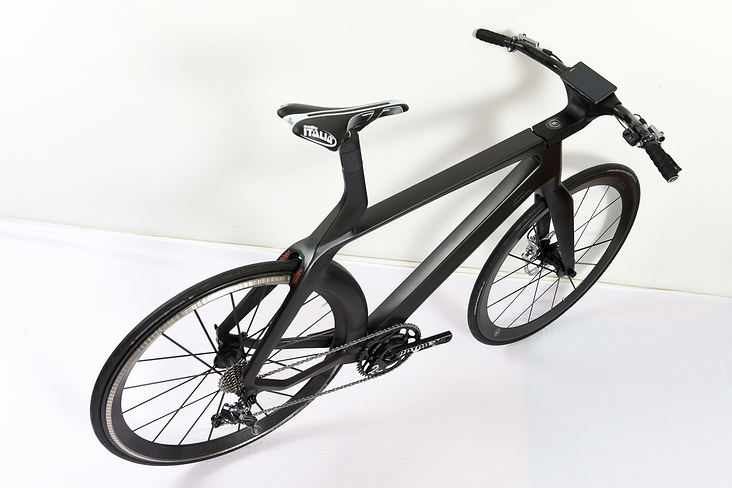 E-Bike Pedelec für Lightweight / CarboFirbetec