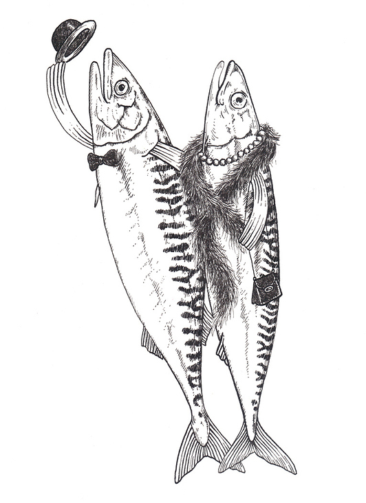 grüßende Makrelen