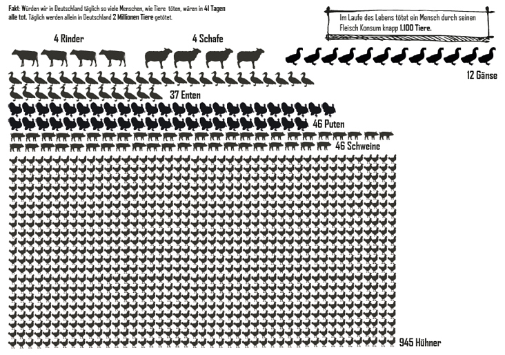 Vegan Infographic 03.