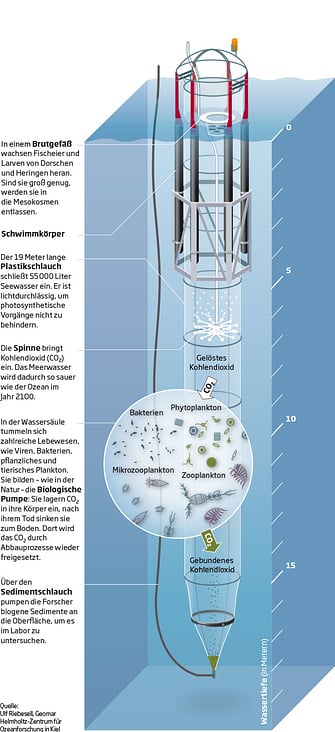Mesokosmos zur Erforschung versauerter Ozeane – New Scientist Deutschland