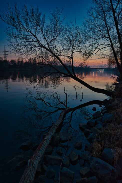 Blaue Stunde Mainufer