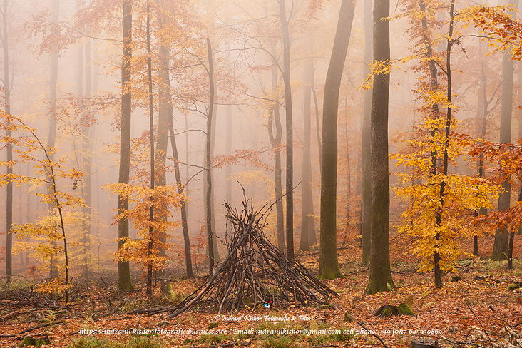 #Kohlhof #Heidelberg #November #Nature #Germany #BadenWuerttemberg #Odenwald