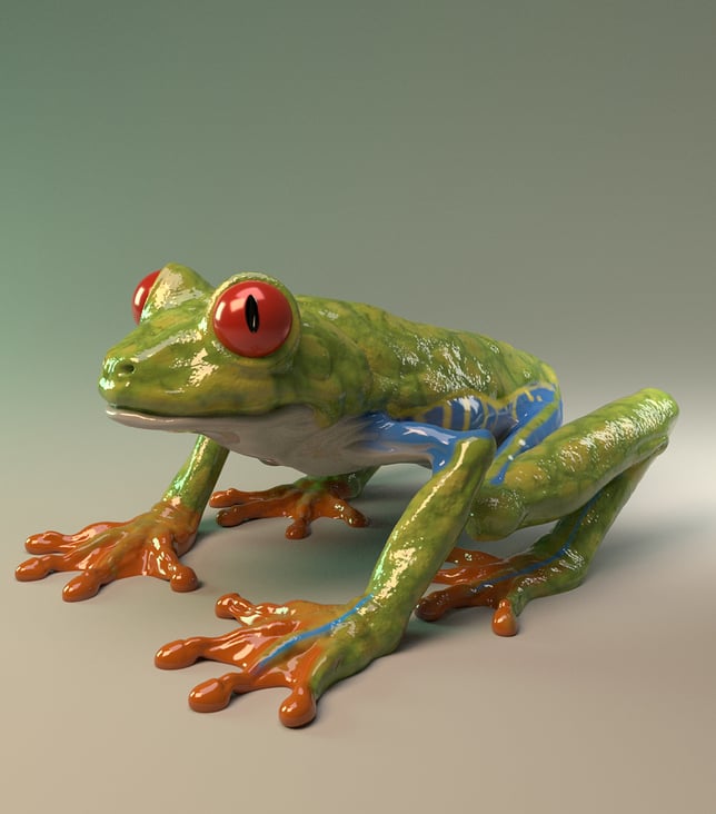 Tree Frog