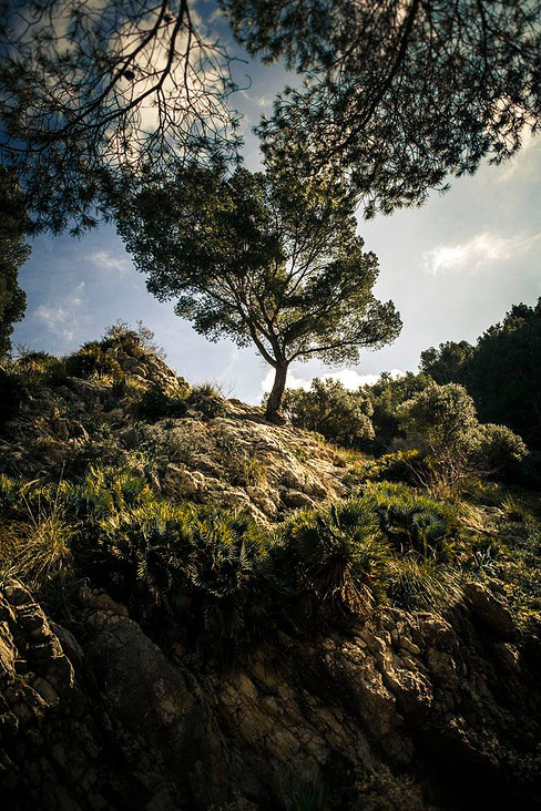 Mallorca