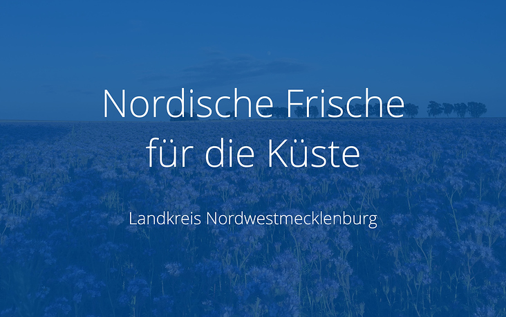 Neues Corporate Design für Nordwestmecklenburg