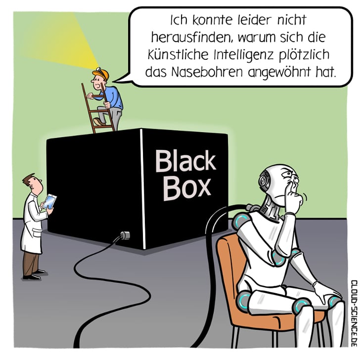 Blackbox Problem