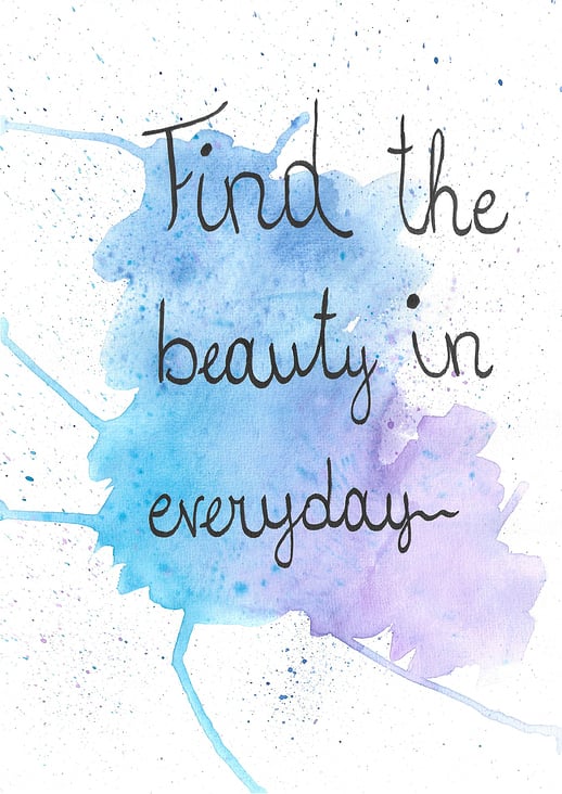 Find the beauty in everyday