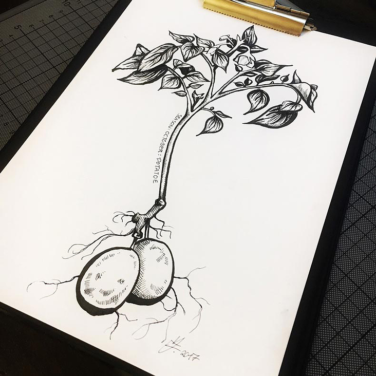 VerenaFaeth Potatoes Ink