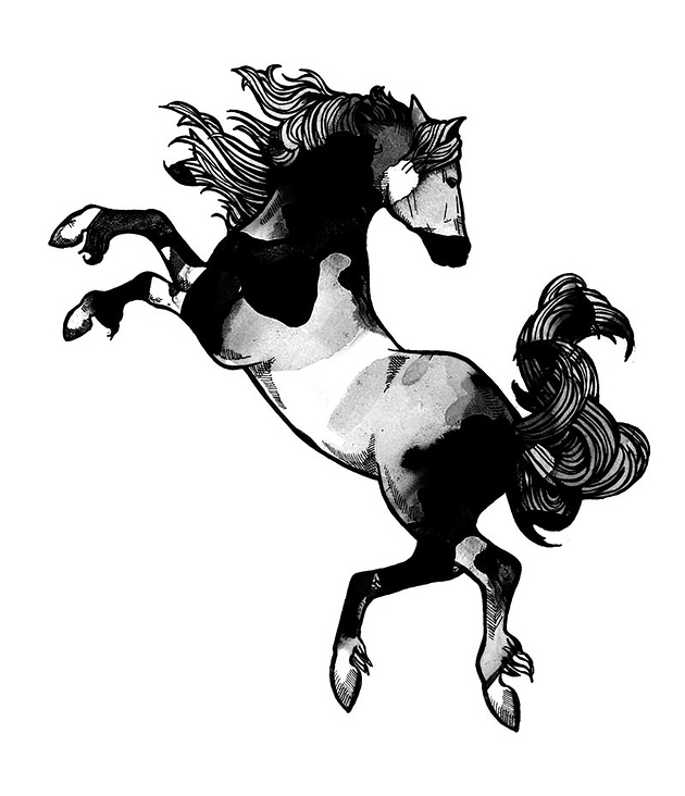 VerenaFaeth horse