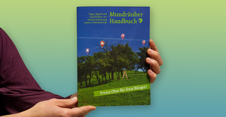 Mundräuber Handbuch: Crowdfunding, Layout, Satz und Illustrationen