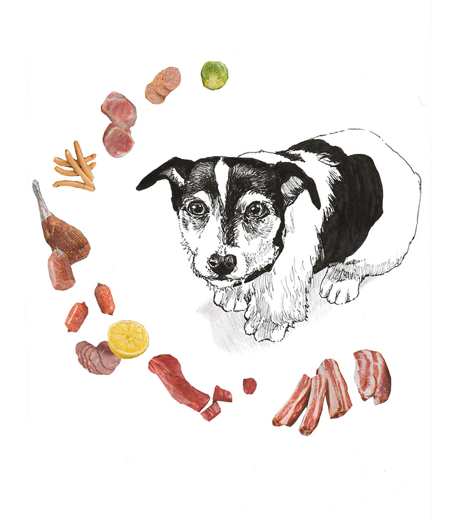 Collage für Privatkunden – Portrait seines Hundes