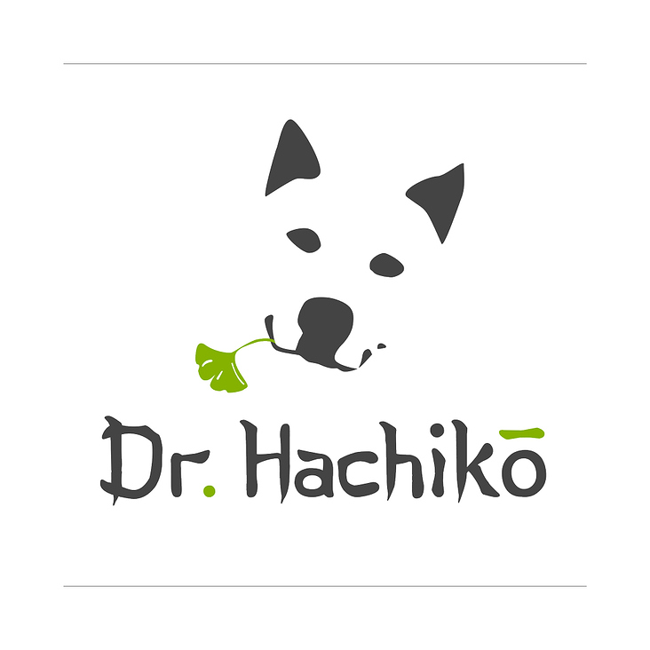 Dr. Hachiko, 2018