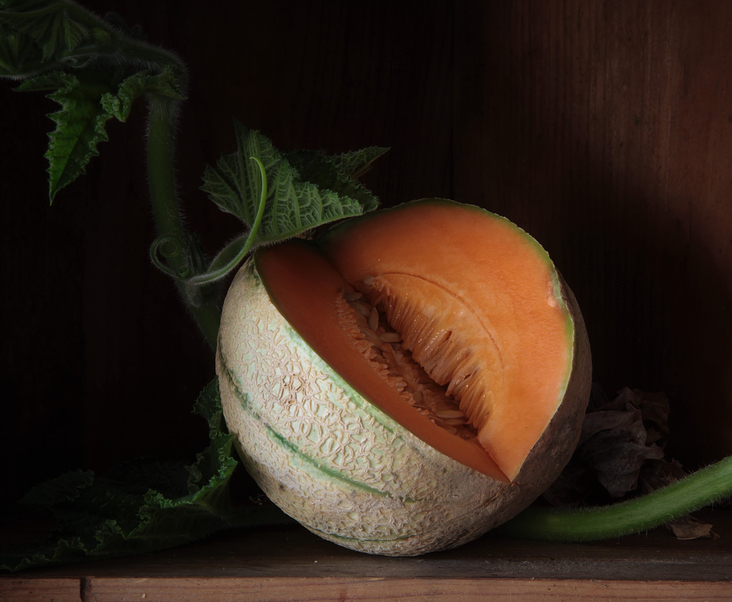 Melone 2