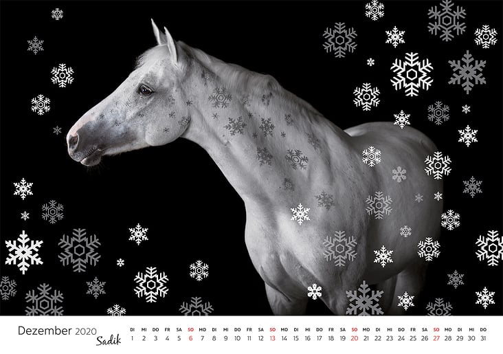 lichtpix-Kalender 2020 ED-13